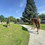 Unique Equestrian Property in Saint-Genis-Pouilly – A Rare Gem on Nearly 1 Hectare